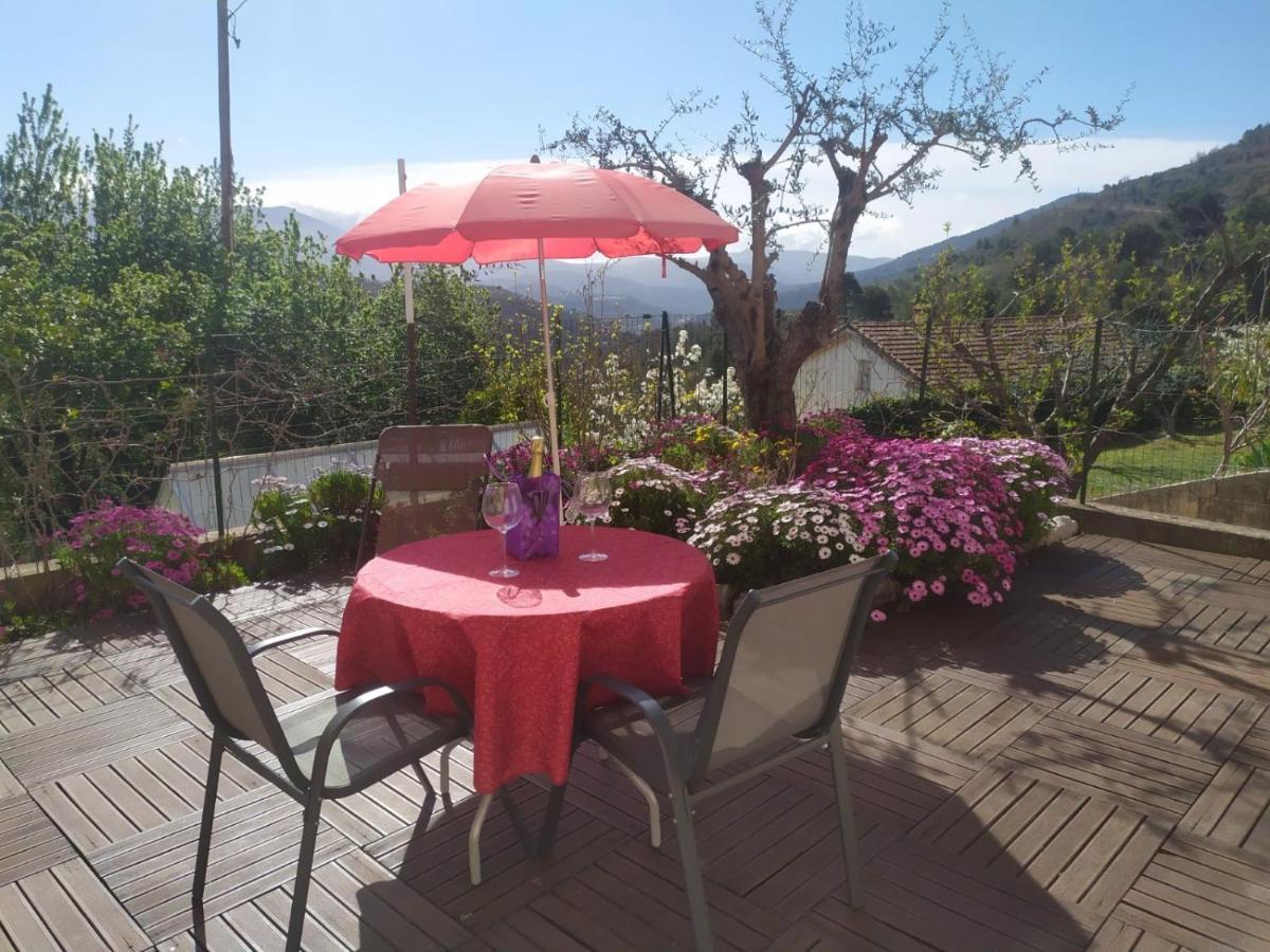 Studio Le Romantique A 20 Kms De Nice Bendéjun المظهر الخارجي الصورة