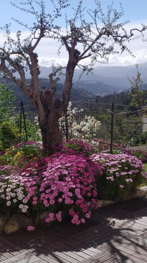 Studio Le Romantique A 20 Kms De Nice Bendéjun المظهر الخارجي الصورة